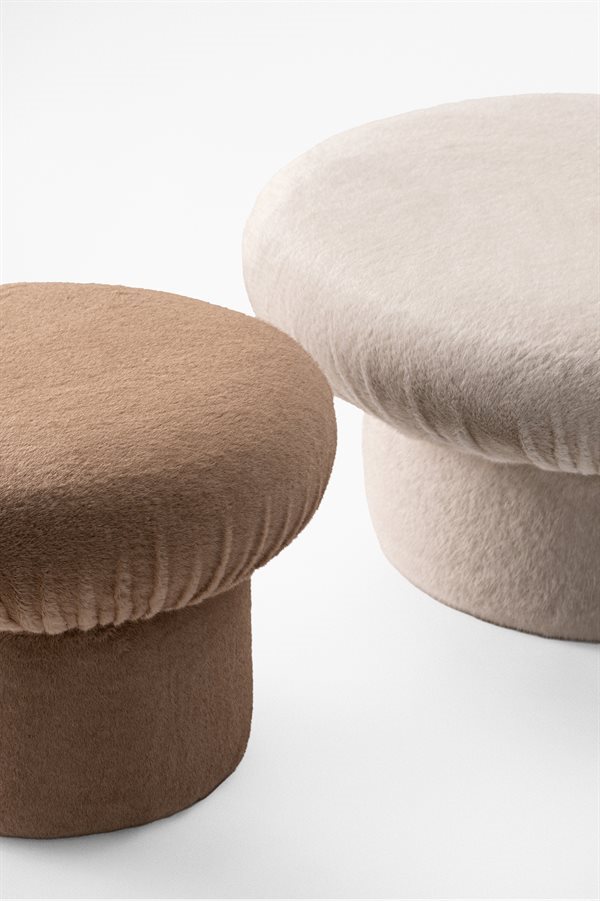 GallottiRadice_Nala_det_150RGB(0)