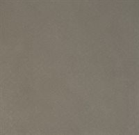 CatL1__0001_suede-sand006