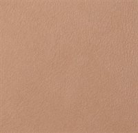 Fard nude 2334