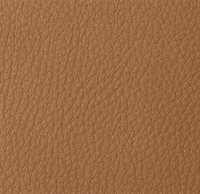Soft amber 004