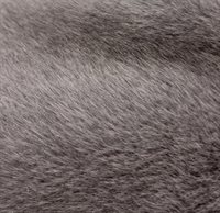 Plush grey 002