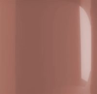 Rosa-Jaipur_lucido